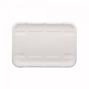 Sugarcane Bagasse Textured Trays