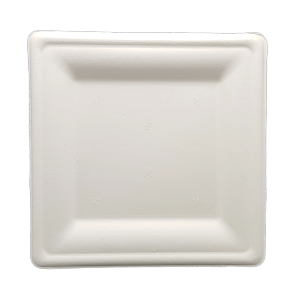 Biodegradable and Compostable Sugarcane Bagasse Plate