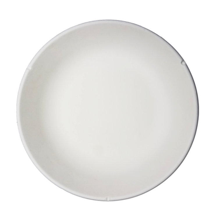 Biodegradable and Compostable Sugarcane Bagasse Plate