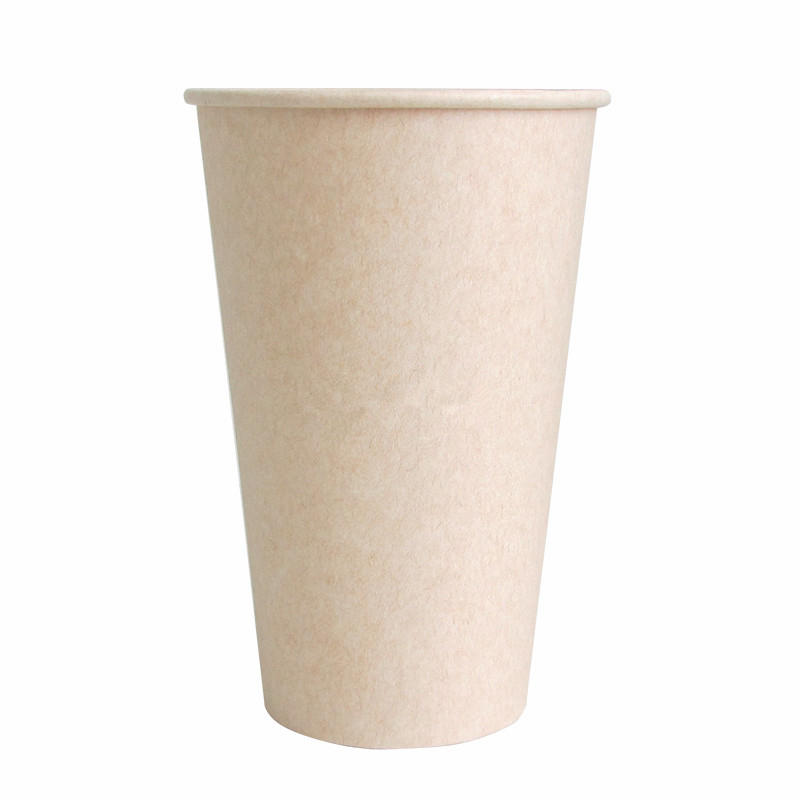 Disposable PLA Coated Paper Cup
